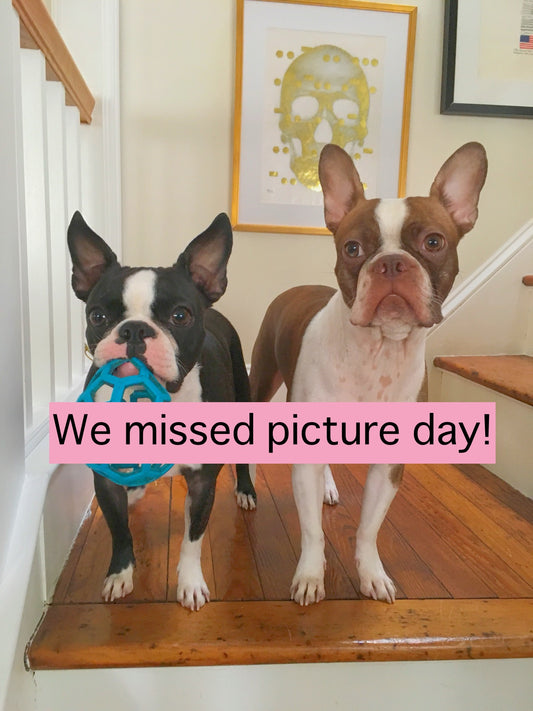 DL The Special -Cutting-