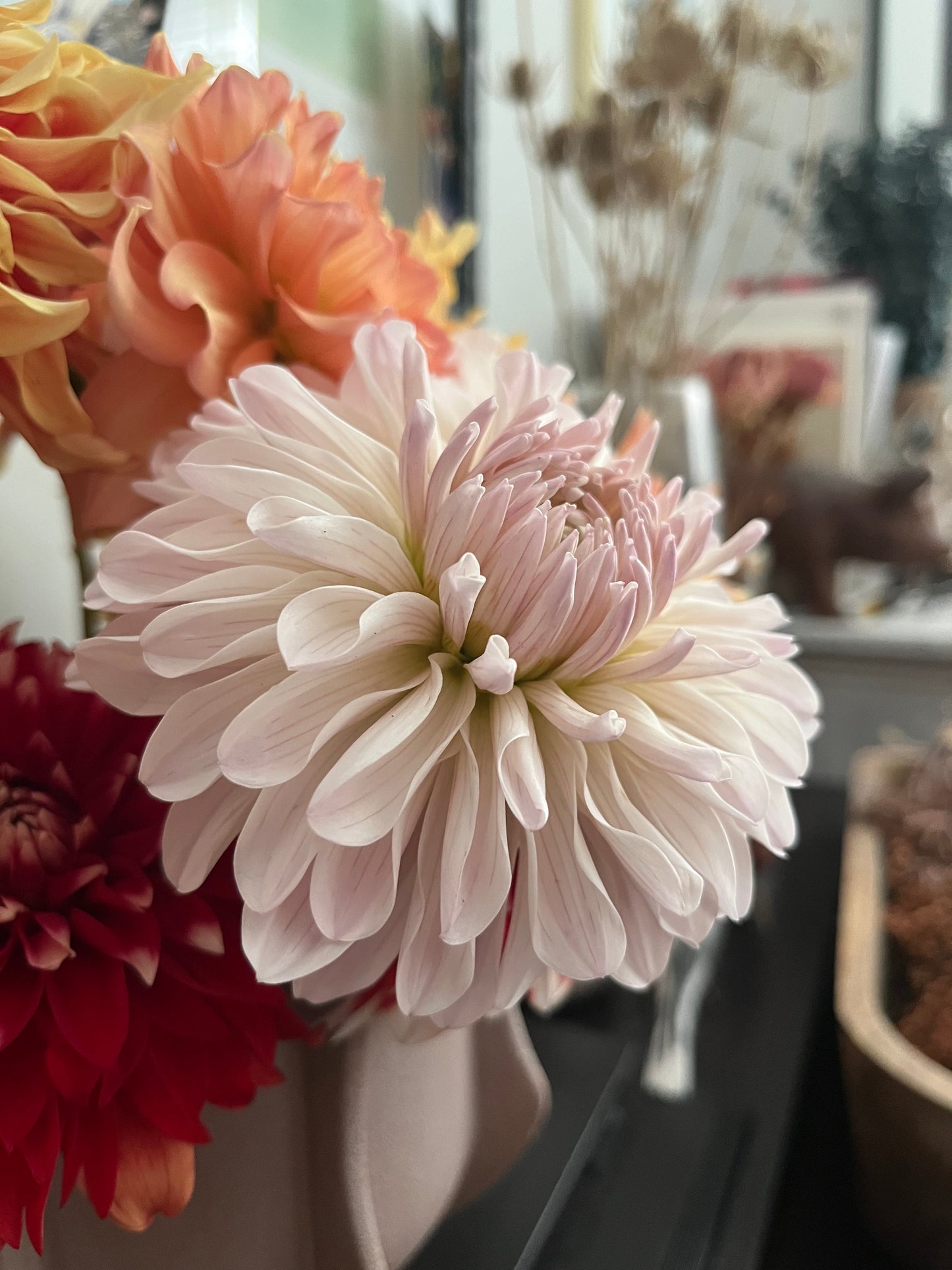 Clasico🇯🇵 -Cutting-